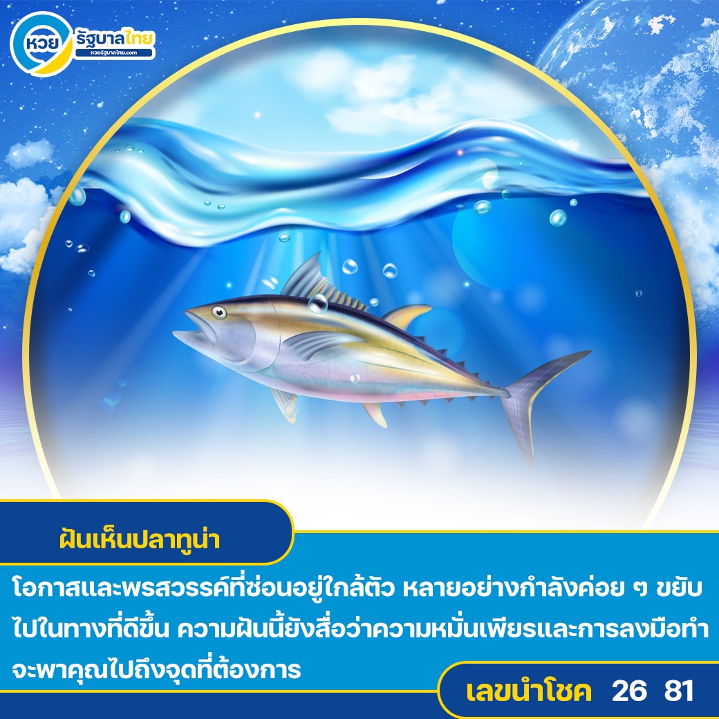 ฝันเห็นปลาทูน่า