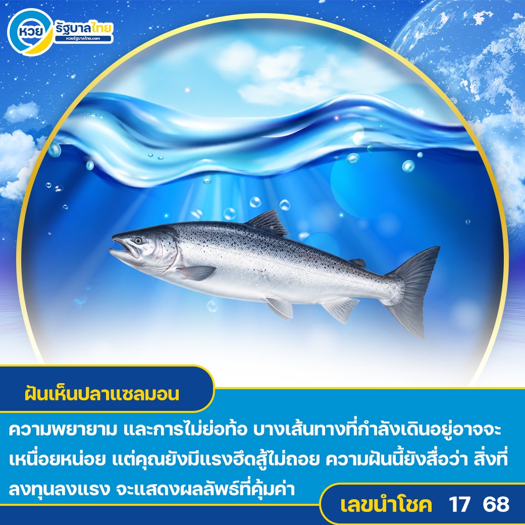 ฝันเห็นปลาแซลมอน