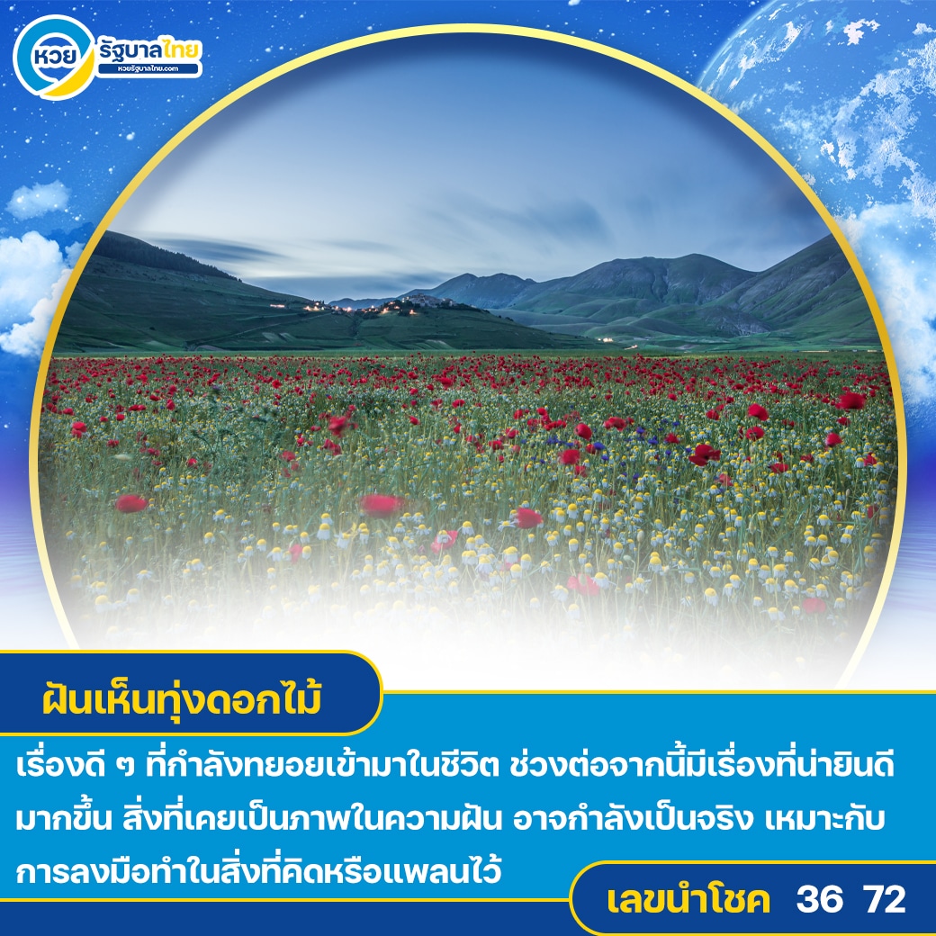 ฝันเห็นทุ่งดอกไม้