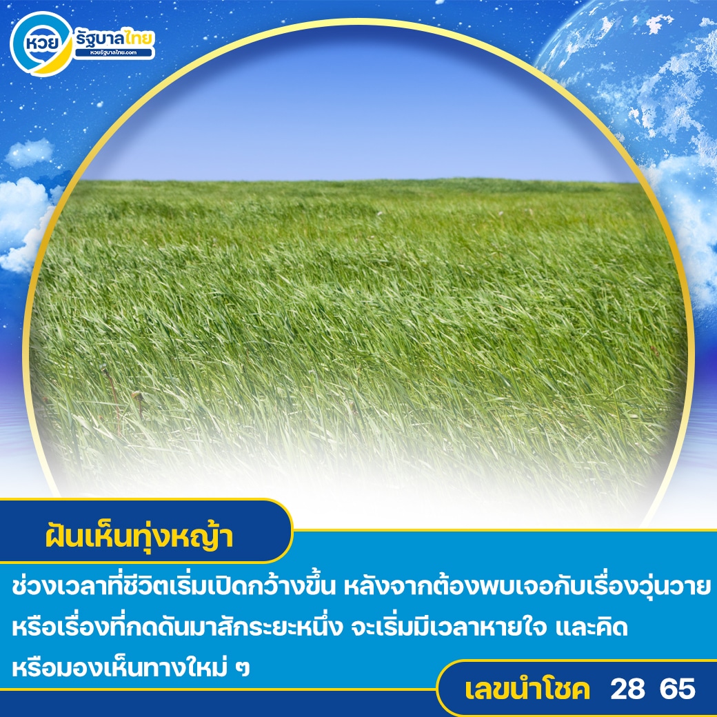 ฝันเห็นทุ่งหญ้า